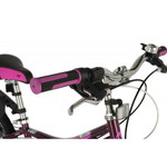 Велосипед NOVATRACK 20" ALICE пурпурный,  стальная рама, 6 скор., Shimano TY21/Microshift TS38, диск
